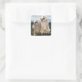 Sticker Carré Chouette mère et bébé (Sac)