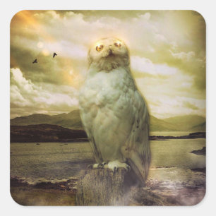 Sticker Carré Chouette mystique