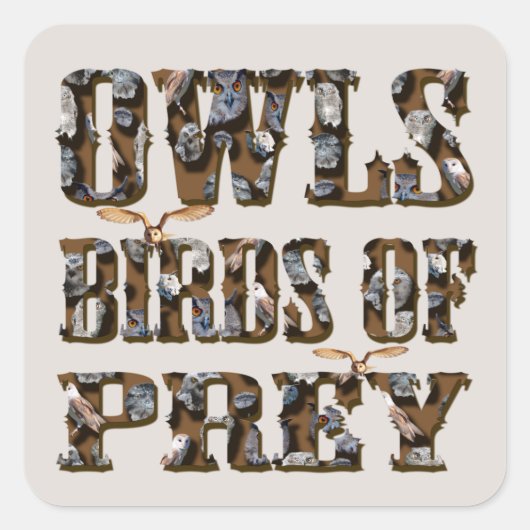 Sticker Carré Chouettes Oiseaux De Prey, (Devant)