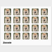 Sticker Carré Chow Chow (Feuille)