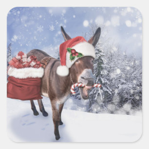 Sticker Carré Christmas donkey with funny