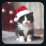 Sticker Carré Christmas Kitten<br><div class="desc">Christmas Kitten</div>