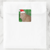Sticker Carré Christmas Orange Tabby Kitten (Sac)