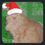 Sticker Carré Christmas Orange Tabby Kitten<br><div class="desc">Santa Hat Kitten</div>