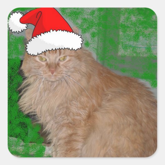 Sticker Carré Christmas Orange Tabby Kitten (Devant)