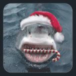 Sticker Carré Christmas Shark<br><div class="desc">shark christmas fish jaws,  memes underwater xmas,  strong marine sea ,  ocean animal,  smile santa claus teeth,  a blue fun funny,  happy winter cut holiday,  red candy merry ,  christmas fish</div>