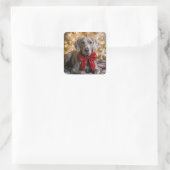 Sticker Carré Christmas Weimaraner Dog With Red Bow (Sac)