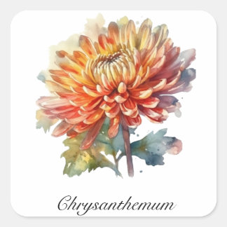 Sticker Carré Chrysanthème de la récolte d'or, sur mesure