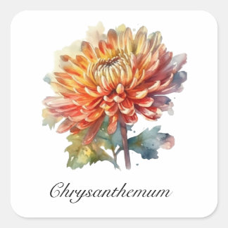 Sticker Carré Chrysanthème de la récolte d'or, sur mesure