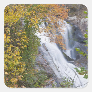 Sticker Carré Chutes de Bald River