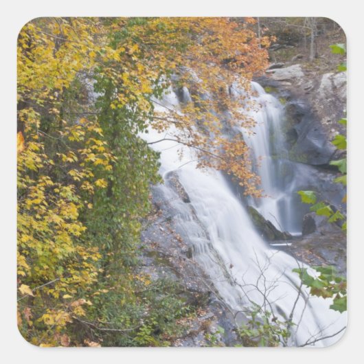 Sticker Carré Chutes de la rivière Bald (Devant)