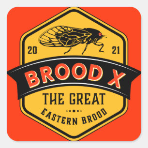 Sticker Carré Cicadas Brood X the Great Eastern Brood