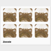Sticker Carré Cigar à puggy Grumpy AFICIONADO personnalisé (Feuille)