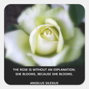 Sticker Carré Citation Blooms roses
