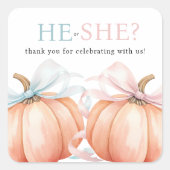 Sticker Carré Citrouille Bow Rose Bleu Révélation de genre (Devant)