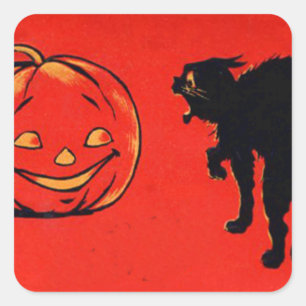 Sticker Carré Citrouille Lanterne Jack Chat Noir