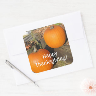 Sticker Carré Citrouilles du pays de Thanksgiving
