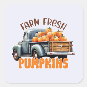 Sticker Carré Citrouilles frais - Camion rustique
