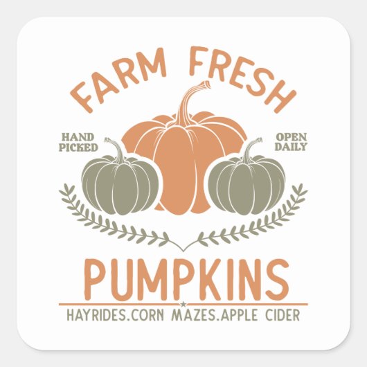 Sticker Carré Citrouilles frais de ferme | Main saisie (Devant)