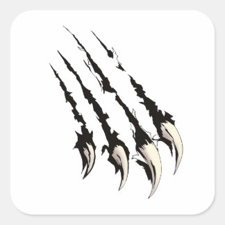 Sticker Carré Claw Scratch - Mystérieux animal