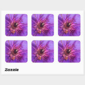 STICKER CARRÉ CLEMATIS (Feuille)