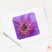 STICKER CARRÉ CLEMATIS (Enveloppe)