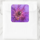 STICKER CARRÉ CLEMATIS (Sac)