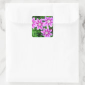Sticker Carré Clematis rose et Oregano sauvage (Sac)