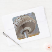 Sticker Carré Close-up Underside of Mushroom (Enveloppe)