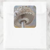 Sticker Carré Close-up Underside of Mushroom (Sac)