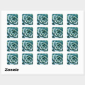 Sticker Carré Closeup Succulent (Feuille)