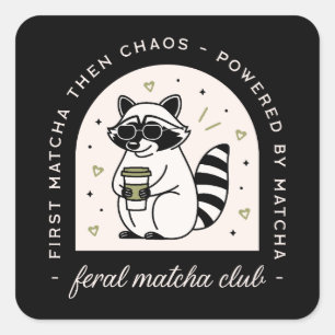 Sticker Carré Club de Matcha raccoon amoureux drôle sauvage anim