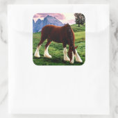Sticker Carré Clydesdale Sunset (Sac)