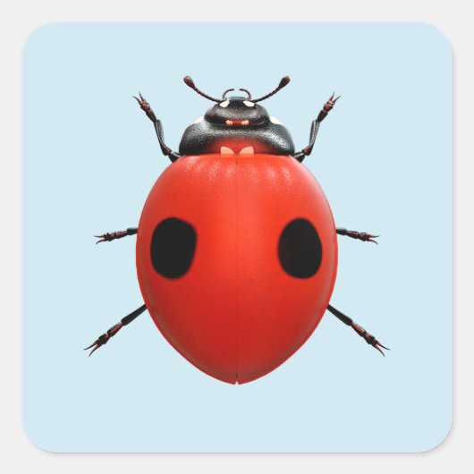 Sticker Carré Coccinelle Chanceuse (Devant)