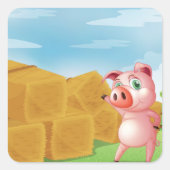 Sticker Carré Cochon Sur Une Ferme (Devant)