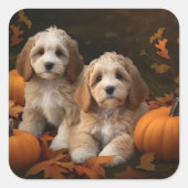 Sticker Carré Cockapoo Puppy Citrouille d'automne (Devant)