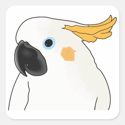 Sticker Carré Cockatoo Bust (Devant)