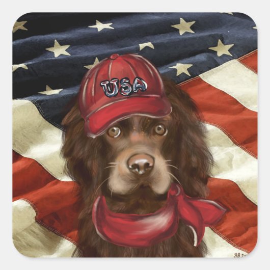 Sticker Carré Cocker Spaniel Américain (Devant)