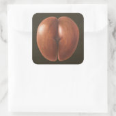 Sticker Carré Coco de Mer Maldives 2012 (Sac)