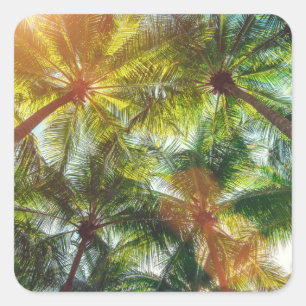 Sticker Carré Cocotiers palmiers sur la plage