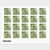 Sticker Carré Coeurs de tomates (Feuille)