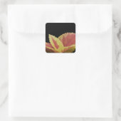 Sticker Carré Coleus Feuilles (Sac)