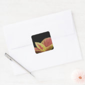 Sticker Carré Coleus Feuilles (Enveloppe)