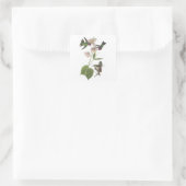 Sticker Carré Colibri d'Anna par Audubon (Sac)