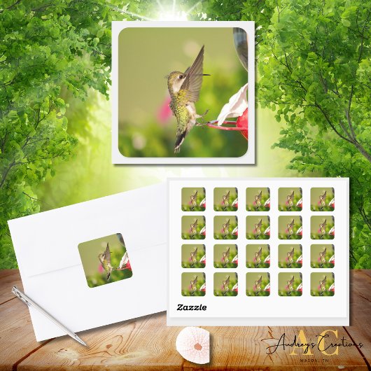 Sticker Carré Colibri Design #108A0604