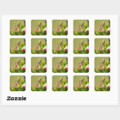 Sticker Carré Colibri Design #108A0604 (Feuille)