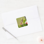 Sticker Carré Colibri Design #108A0604 (Enveloppe)