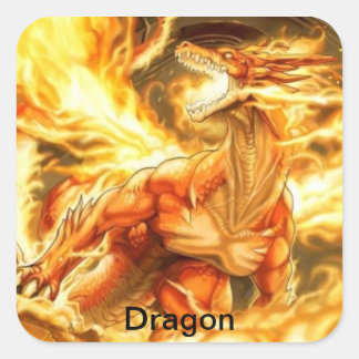 Sticker Carré colle de dragon