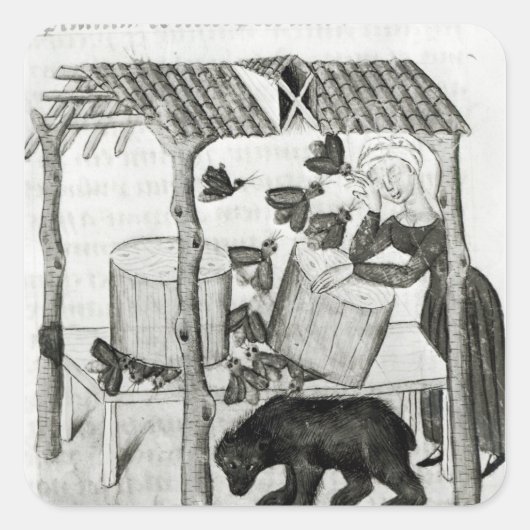 Sticker Carré Collecte de miel (Devant)