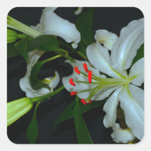 Sticker Carré Collection Irlandaise de laiton et de fleurs